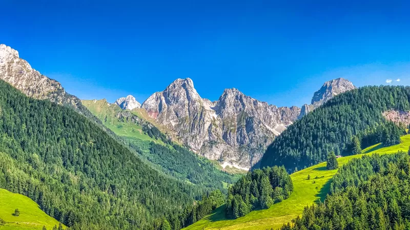 Alps mountains, Mountain range, Summer, Sunny day, Forest, Clear sky, Blue Sky, Landscape, Switzerland