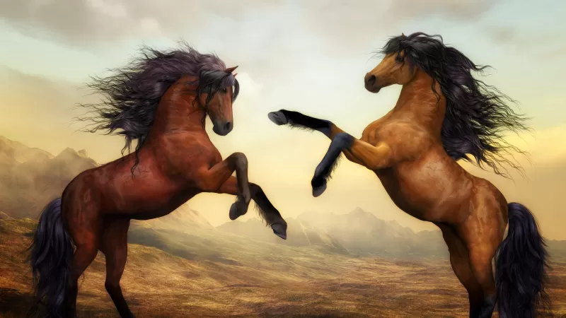 Wild Horses, Pair, Brown Horses, Stallion, Digital paint, Mane, Beautiful