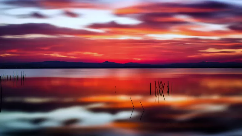Crimson lake sunset wallpaper, Long exposure, Reeds