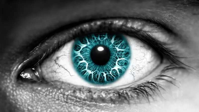 Eye, Iris, Blue eyes, Close up, Macro