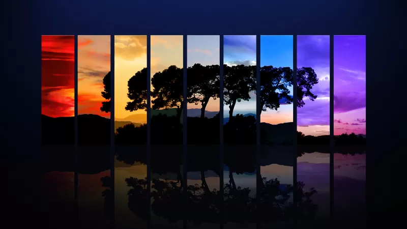 Tree, Sunset, Daylight, Evening, Night, Twilight, Spectrum, Silhouette, Morning, Sunrise, Reflection, Dark