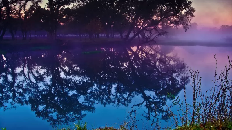 Laguna de Santa Rosa wallpaper, Oak tree reflection, Purple dawn