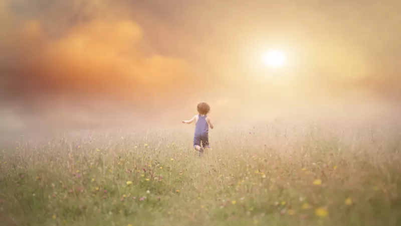 Cute boy, Child, Running, Playing, Fog, Fun, Summer, Meadow, 5K