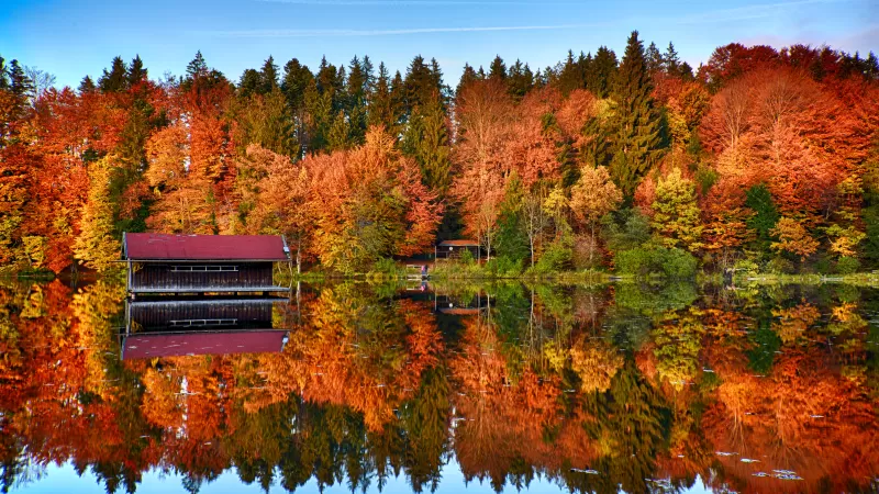 Autumn trees, Forest, Mirror Lake, Reflection, Wooden House, Landscape, Scenery, 5K, 8K