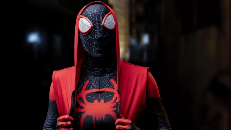 Spider-Man, Miles Morales, Cosplay, Costume, Marvel Superheroes, 5K