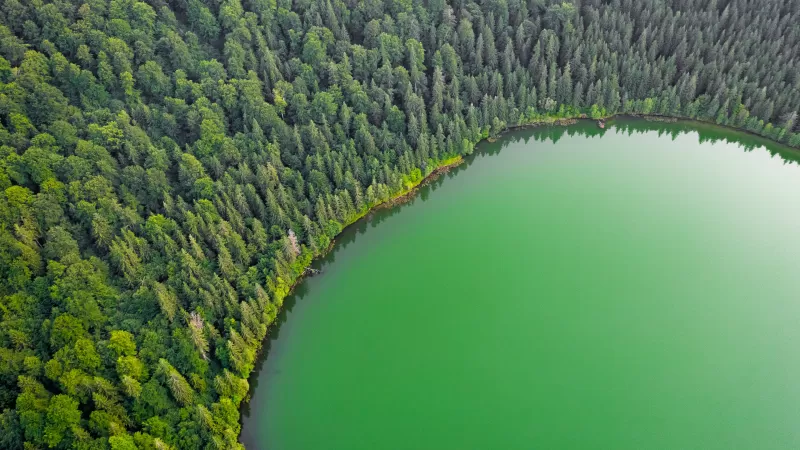 Green Lake, Green Trees, Aerial view, Forest, Landscape, Woodland, Scenery