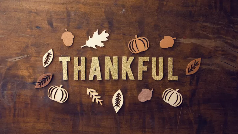 Thanksgiving Day, Thankful, Wooden background, Glitter letters, 5K