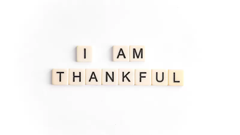 Happy Thanksgiving, Thankful, Thanksgiving Day, White background, 5K