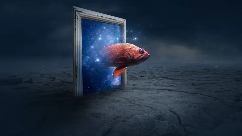 Fish through space portal, Surreal art, Galaxy frame, 5K wallpaper