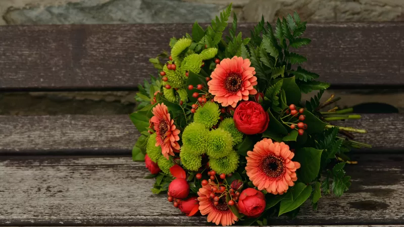 Bunch of Flowers, Gerbera Daisy, Floral, Spring flowers, Blossom, 5K