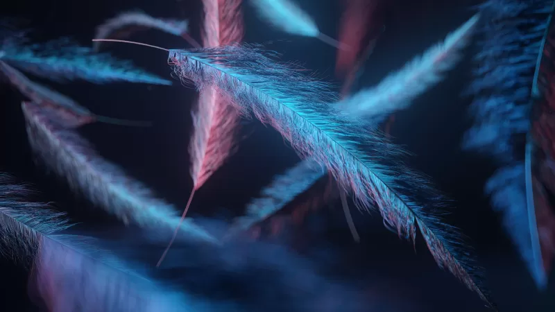 Feathers, Macro, Dark background, Blue light, Digital illustration