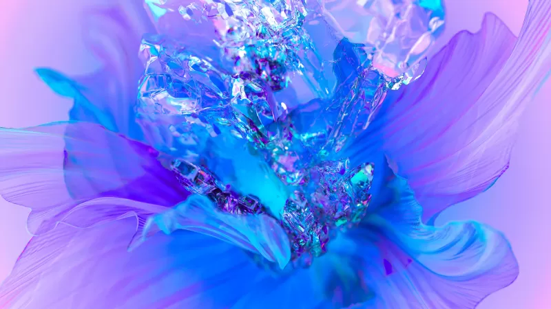 Purple Flower, Floral Background, Colorful, 3D background, Digital Art