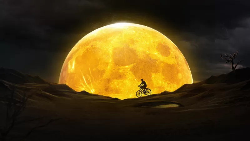 Moon, Night, Silhouette, Yellow, Dream, Surreal, Desert, Bicycle
