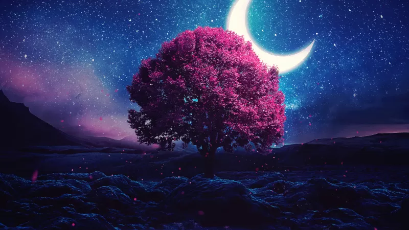 Lone tree, Crescent Moon, Half moon, Starry sky, Night, Lake, Girly backgrounds, Night sky