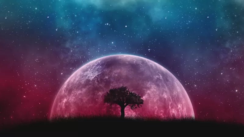 Lone tree, Planet, Surreal, Night, Silhouette, Starry sky, 5K