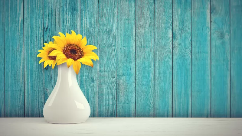 Sunflowers, Flower vase, Wooden background, Teal