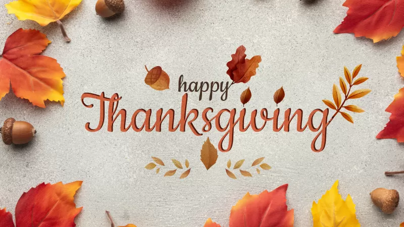 Happy Thanksgiving, Thanksgiving Day, Autumn leaves, Stone background