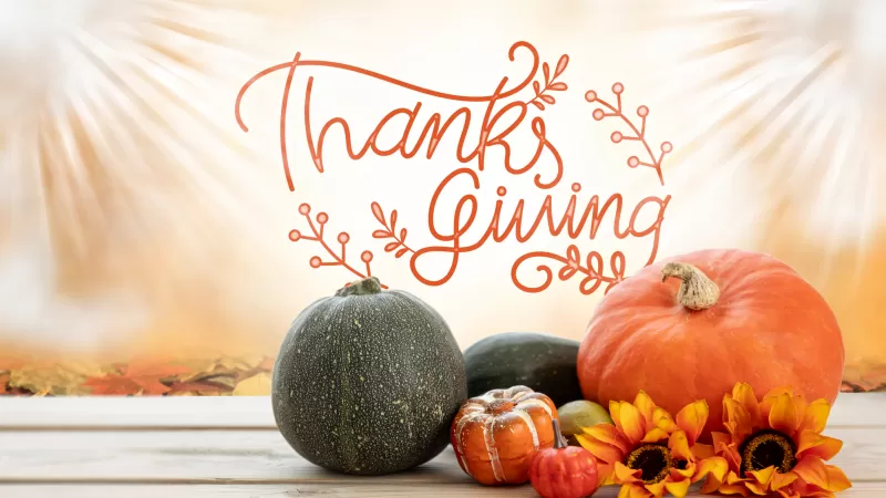 Thanksgiving Day, Happy Thanksgiving, Pumpkins, Wooden Floor, Sunflowers