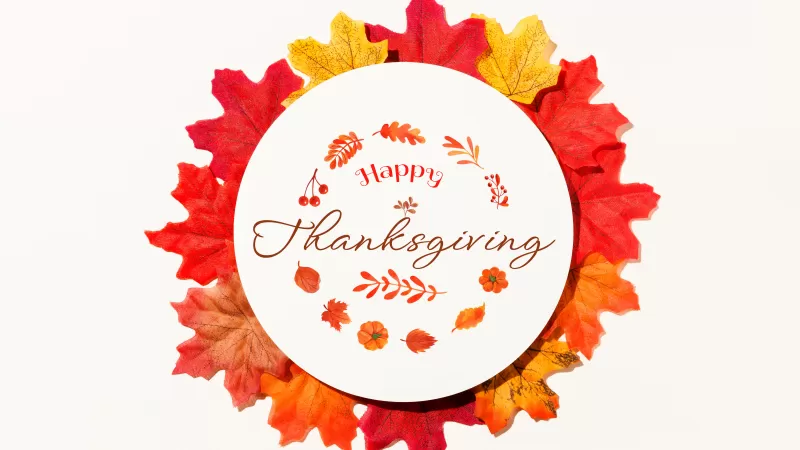 Happy Thanksgiving, Thanksgiving Day, Autumn leaves, White background