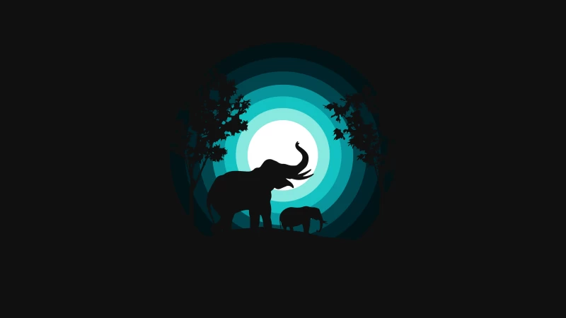 Elephant, Elephant cub, Silhouette, Night, Teal, Black background