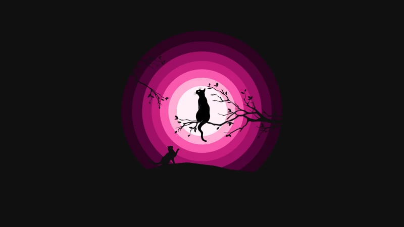 Silhouette Cats, Pink Moon, Black background 4K