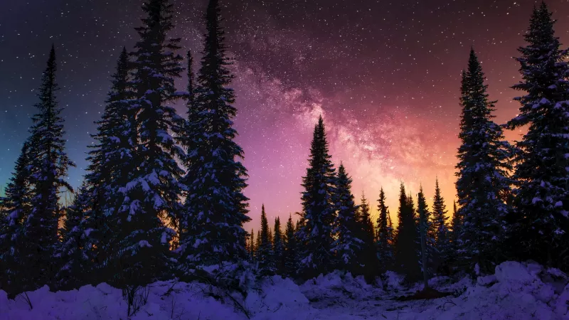 Winter, Snow covered, Pine trees, Sunset, Milky Way, 5K