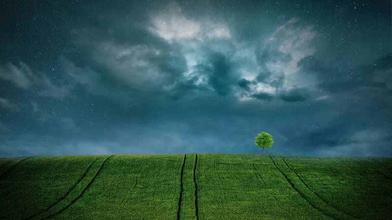 Landscape, Lone tree, Starry sky, Cloudy Sky, Green Fields, 5K, 8K