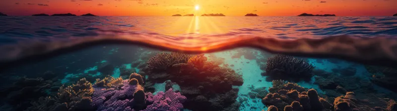 Sunset, Underwater, Coral reef, Seascape, 5K, 8K, AI art