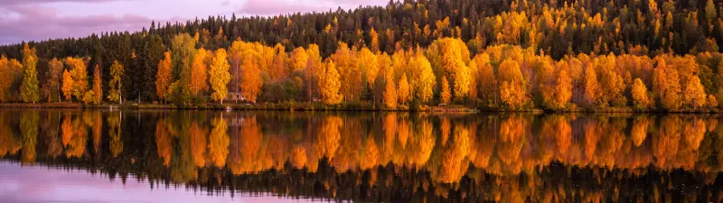 Autumn trees, Forest, Pink sky, Sunset, Reflection, Mirror Lake, Beautiful, Scenery, 5K, 8K