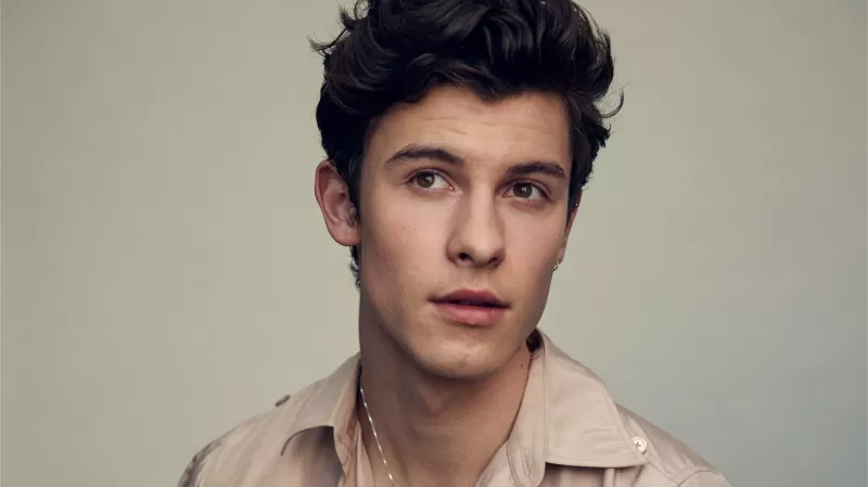 Shawn Mendes 4K