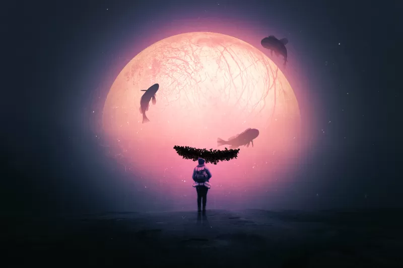 Alone, Surreal, Dream, Fishes, Moon, Travel, Explorer