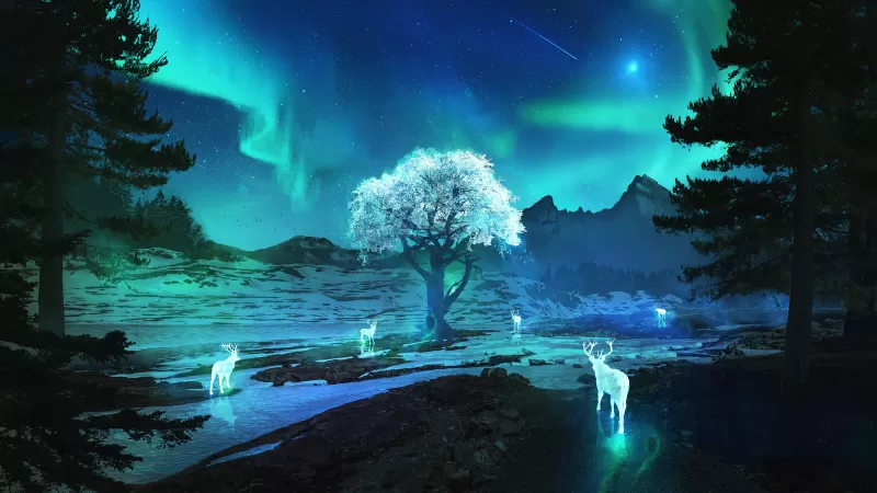 Surreal Northern Lights, Mystic night