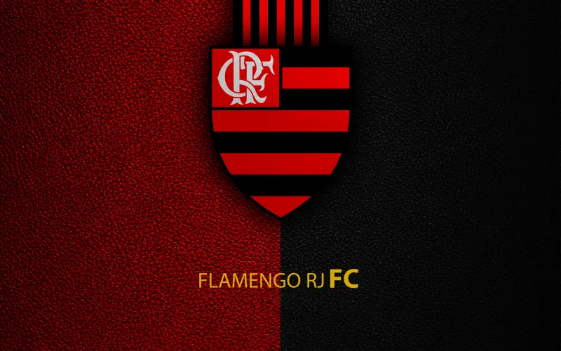 Flamengo Clube de Regatas do Brazilian sports club, Flamengo FC