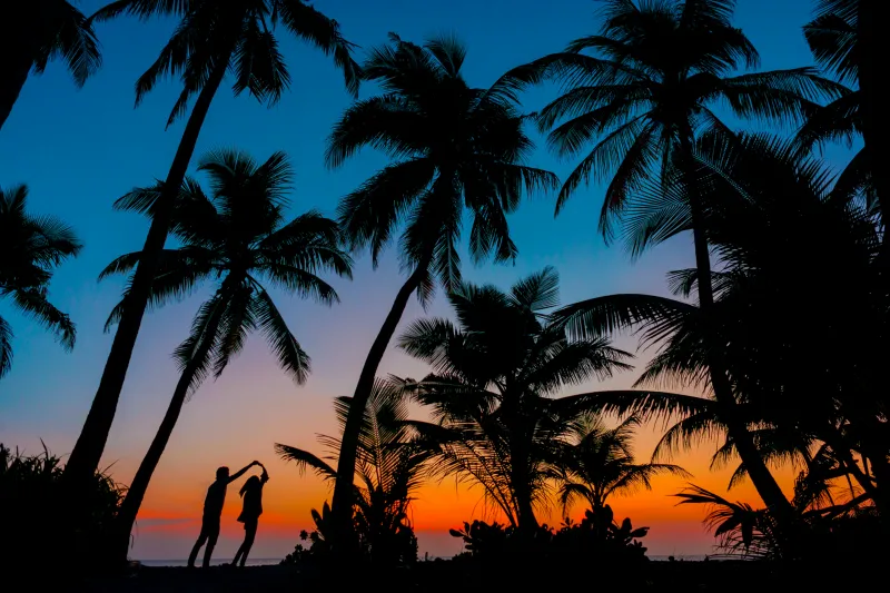 Couple silhouette, Romantic, Sunset, Twilight, Palm trees, Tropical beach, Maldives