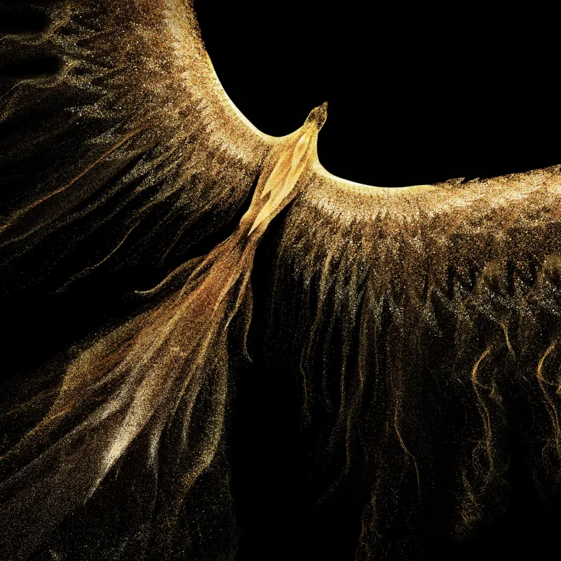 Phoenix, Fire bird, Abstract bird, Black background, Golden bird, Honor Magic VS, Stock