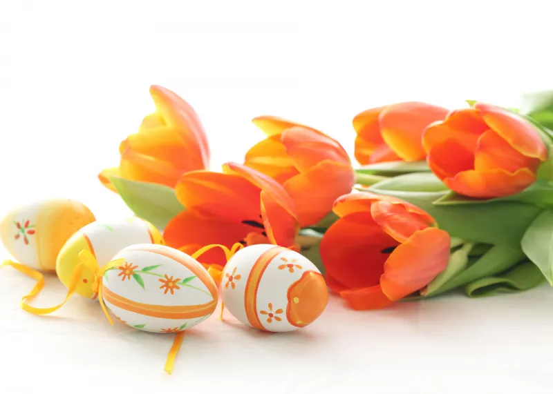 Easter eggs 4K, Daffodils, Orange flowers