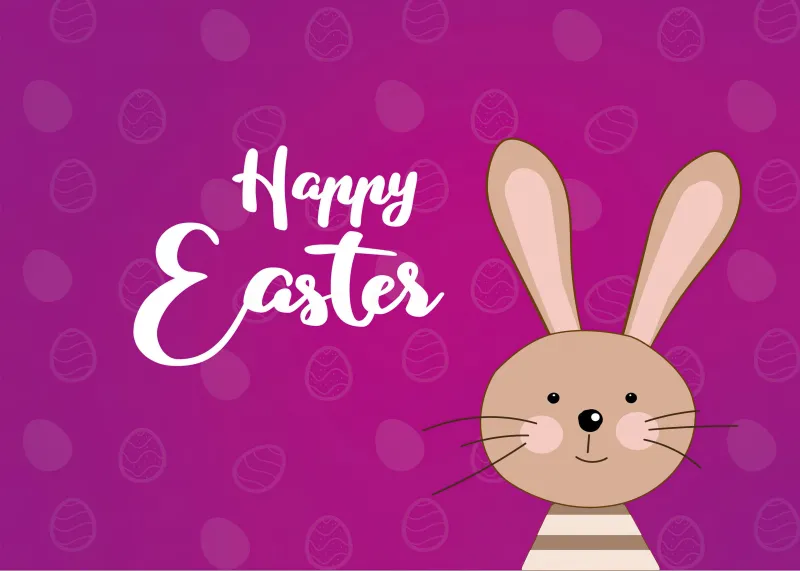 Happy Easter, Pink background, Easter Bunny, 4K