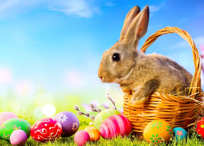 Easter eggs 4K, Easter Bunny