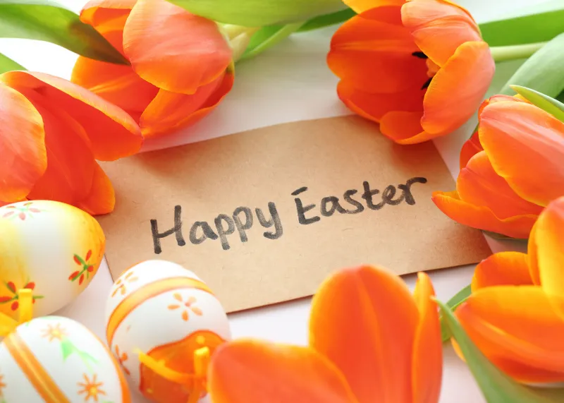 Happy Easter, Orange flowers, Easter eggs