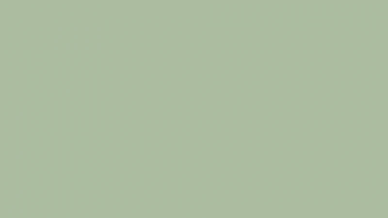 Sage green background 4K
