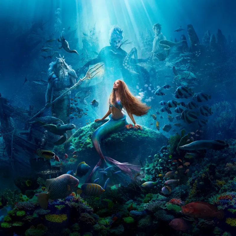 The Little Mermaid, Halle Bailey as Ariel, Disney Princess, 2023 Movies, Disney, 8K, 5K