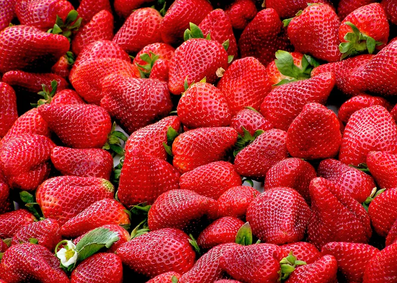 Strawberries 4K wallpaper