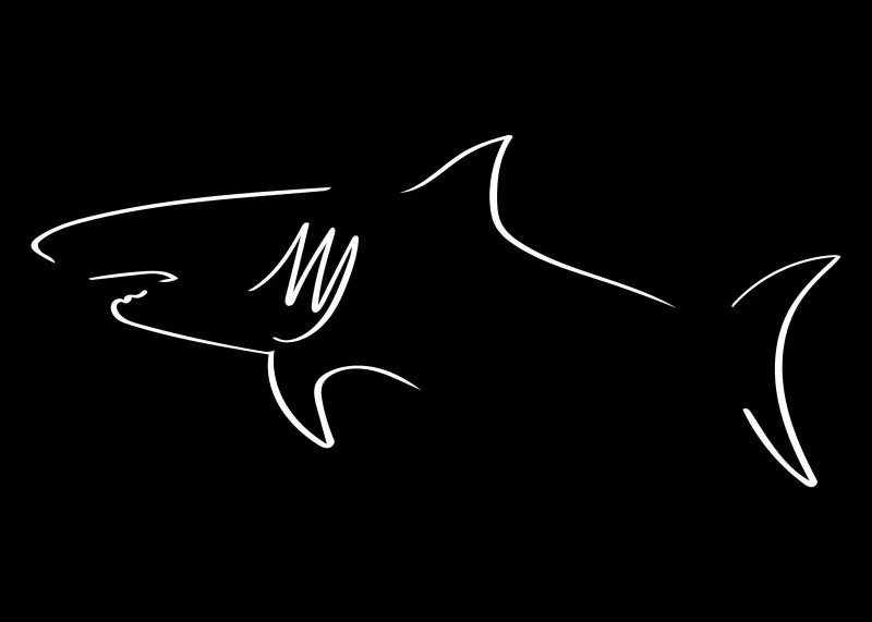 Shark Minimal 4K, Black