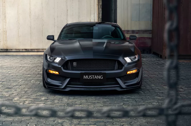 Ford Mustang Shelby GT350, Black