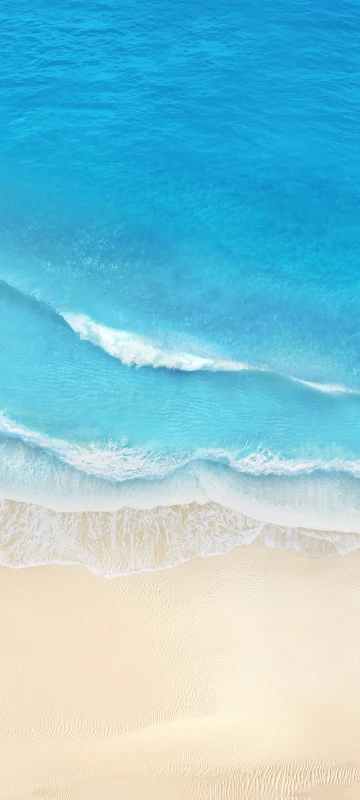 Vivo S17 Mobile Wallpaper