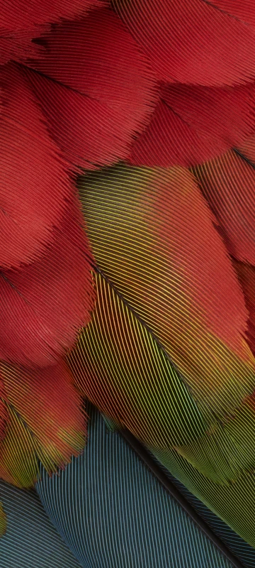 Pixel 7a HD Background
