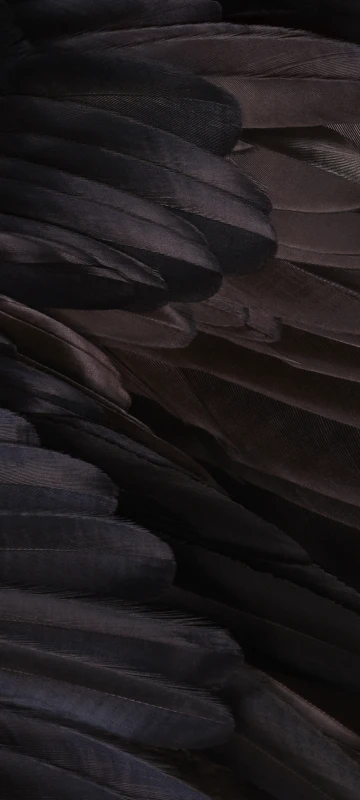 Pixel 7a Original Wallpaper