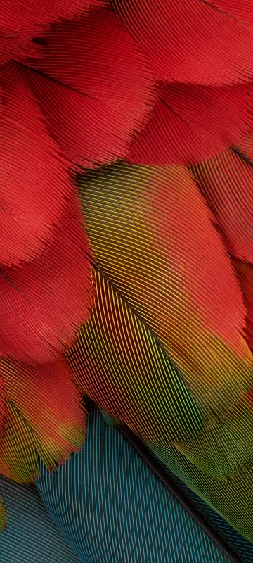 Google Pixel 7a Wallpaper