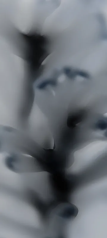 Nothing Phone 2 QHD Wallpaper