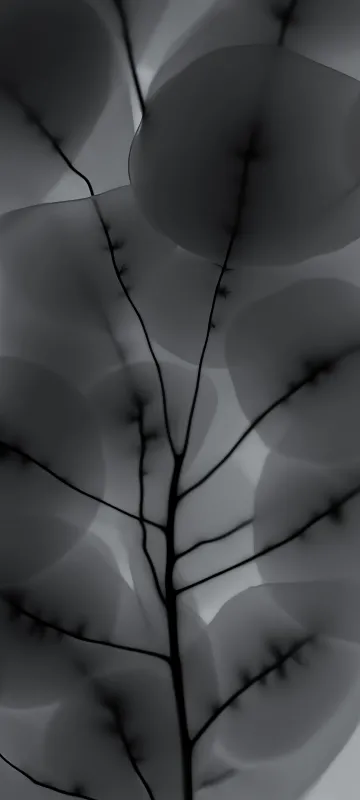 Nothing Phone 2 Grey Background